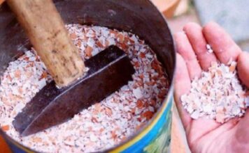 Ljuske od jaja su izuzetno vredne: Nemojte ih bacati – Sprečavaju osteoporozu, oporavljaju štitnjaču, normalizuju rad mišića… Ljuske od jaja su izuzetno vredne: Nemojte ih bacati – Sprečavaju osteoporozu, oporavljaju štitnjaču, normalizuju rad mišića…