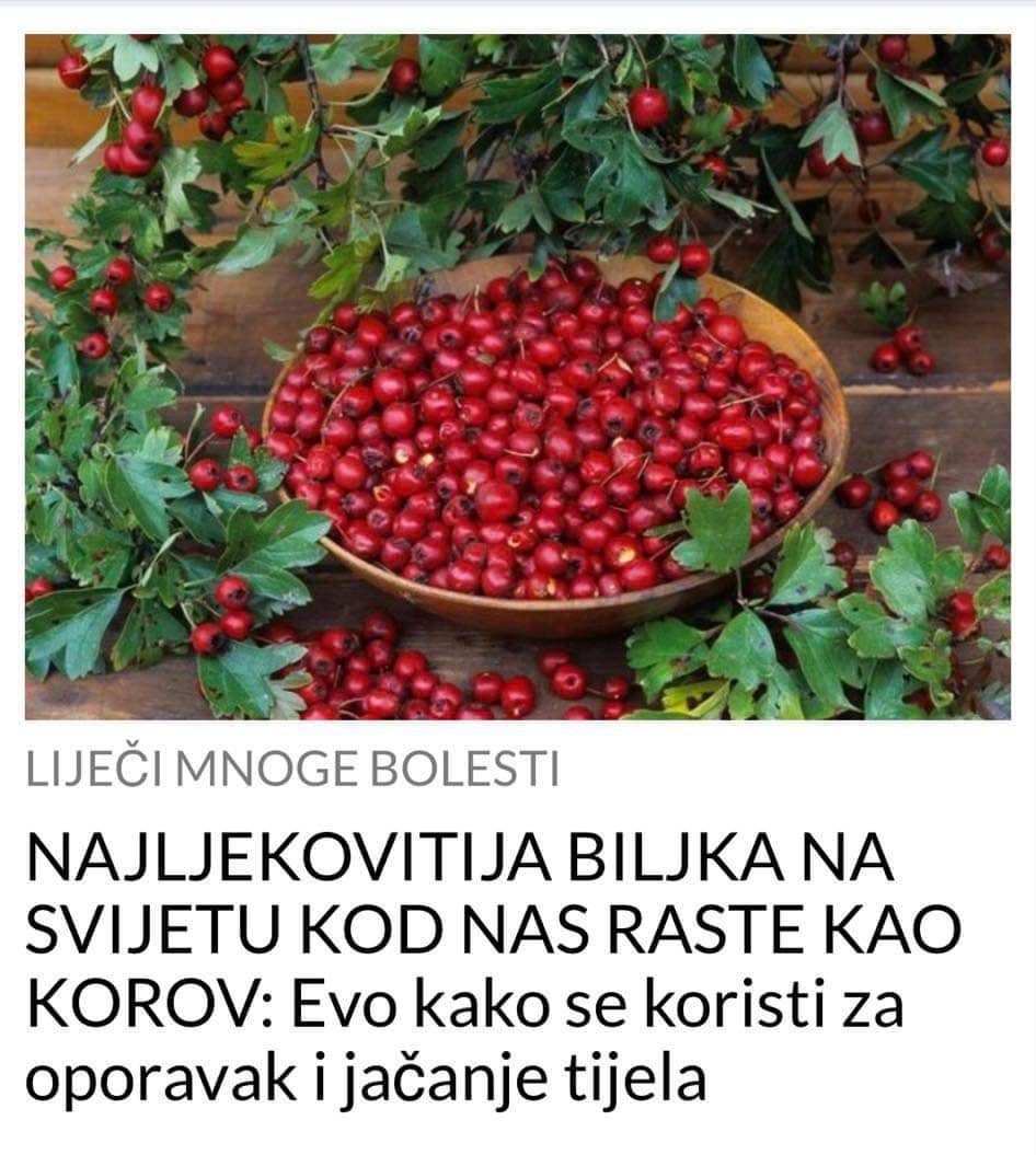 NAJLJEKOVITIJA BILJKA NA SVIJETU KOD NAS RASTE KAO KOROV: Evo kako se koristi za oporavak i jačanje tijela NAJLJEKOVITIJA BILJKA NA SVIJETU KOD NAS RASTE KAO KOROV: Evo kako se koristi za oporavak i jačanje tijela