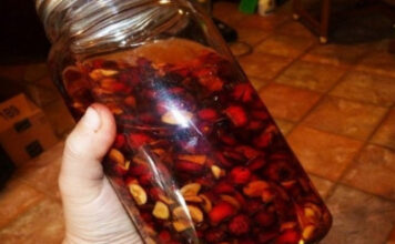 NAJLJEKOVITIJA BILJKA RASTE NA SVAKOM KORAKU KOD NAS: Liječi sve, od glave do pete! NAJLJEKOVITIJA BILJKA RASTE NA SVAKOM KORAKU KOD NAS: Liječi sve, od glave do pete!