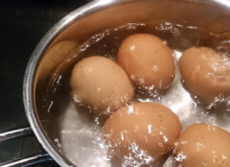 NIKADA NE PROSIPAJTE VODU U KOJOJ SU SE KUHALA JAJA! Pravo Je Blago, A Kada Vidite Zašto Koristićete Je Dok Ste Živi NIKADA NE PROSIPAJTE VODU U KOJOJ SU SE KUHALA JAJA! Pravo Je Blago, A Kada Vidite Zašto Koristićete Je Dok Ste Živi