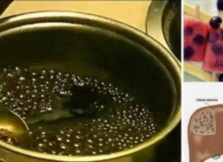 OVE KOŠPICE SU IZVOR VAŠEG ZDRAVLJA: Obnavljaju jetru, ubrzavaju metabolizam i unapređuju cijeli organizam! OVE KOŠPICE SU IZVOR VAŠEG ZDRAVLJA: Obnavljaju jetru, ubrzavaju metabolizam i unapređuju cijeli organizam!