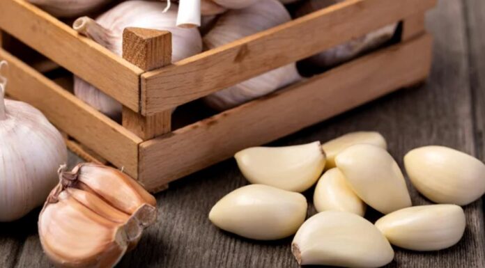 POMAŽE KOD BROJNIH TEGOBA: Pogledajte šta se dešava sa tijelom ako svaki dan jedete bijeli luk POMAŽE KOD BROJNIH TEGOBA: Pogledajte šta se dešava sa tijelom ako svaki dan jedete bijeli luk