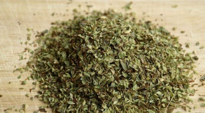 Pospite vaša stopala origanom i gledajte šta će se desiti sa vašim tijelom kroz par minuta Pospite vaša stopala origanom i gledajte šta će se desiti sa vašim tijelom kroz par minuta