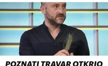 POZNATI TRAVAR OTKRIO GREŠKU KOJU PRAVIMO KAD SPREMAMO ČAJ: Tako Uništavamo Sve Ljekovite Sastojke! POZNATI TRAVAR OTKRIO GREŠKU KOJU PRAVIMO KAD SPREMAMO ČAJ: Tako Uništavamo Sve Ljekovite Sastojke!