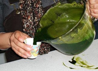 SIRUP OD KOPRIVE: Dokazano najbolji lijek za čišćenje krvi… SIRUP OD KOPRIVE: Dokazano najbolji lijek za čišćenje krvi…