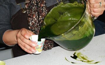 SIRUP OD KOPRIVE: Dokazano najbolji lijek za čišćenje krvi… SIRUP OD KOPRIVE: Dokazano najbolji lijek za čišćenje krvi…