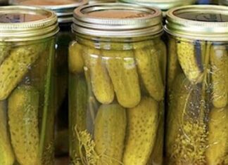 Štite jetru, ubzavaju probavu i pomažu kod dijabetesa: Kiseli krastavci su blago koje čuva zdravlje! Štite jetru, ubzavaju probavu i pomažu kod dijabetesa: Kiseli krastavci su blago koje čuva zdravlje!