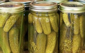 Štite jetru, ubzavaju probavu i pomažu kod dijabetesa: Kiseli krastavci su blago koje čuva zdravlje! Štite jetru, ubzavaju probavu i pomažu kod dijabetesa: Kiseli krastavci su blago koje čuva zdravlje!