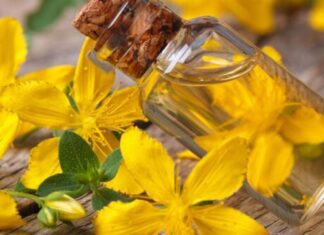 Uvijek imajte u kući Kantarionovo ulje, jer jedna bočica liječi 10 bolesti Uvijek imajte u kući Kantarionovo ulje, jer jedna bočica liječi 10 bolesti