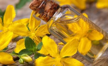 Uvijek imajte u kući Kantarionovo ulje, jer jedna bočica liječi 10 bolesti Uvijek imajte u kući Kantarionovo ulje, jer jedna bočica liječi 10 bolesti