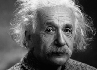 VIC: Mujo sretne Cecu VIC: Mujo sretne Cecu