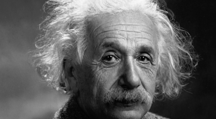 VIC: Mujo sretne Cecu VIC: Mujo sretne Cecu