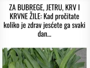 ZA BUBREGE, JETRU, KRV I KRVNE ŽILE: Kad pročitate koliko je zdrav jesćete ga svaki dan ZA BUBREGE, JETRU, KRV I KRVNE ŽILE: Kad pročitate koliko je zdrav jesćete ga svaki dan