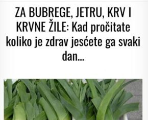 ZA BUBREGE, JETRU, KRV I KRVNE ŽILE: Kad pročitate koliko je zdrav jesćete ga svaki dan ZA BUBREGE, JETRU, KRV I KRVNE ŽILE: Kad pročitate koliko je zdrav jesćete ga svaki dan