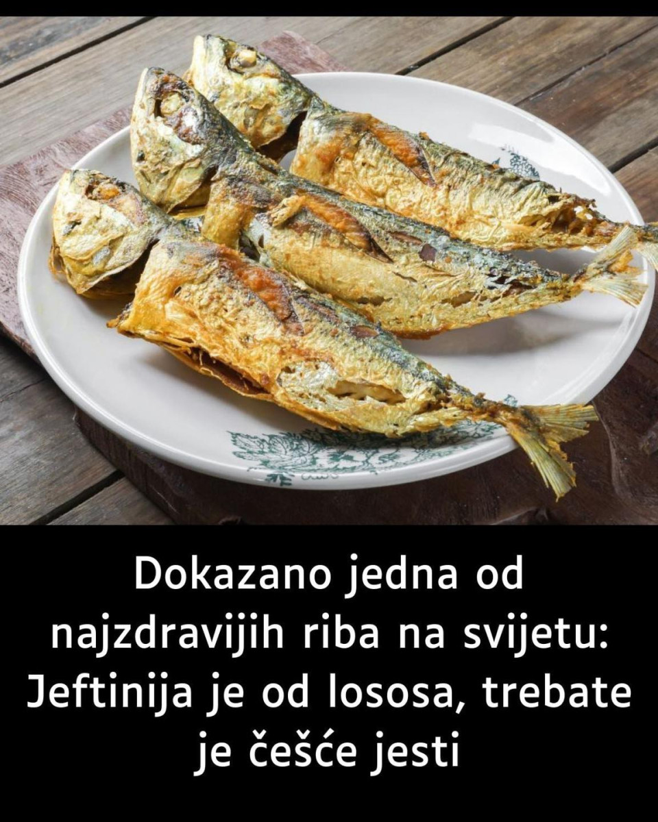 Dokazano jedna od najzdravijih riba na svijetu: Jeftinija je od lososa, trebate je češće jesti Dokazano jedna od najzdravijih riba na svijetu: Jeftinija je od lososa, trebate je češće jesti