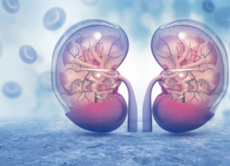 KADA SA BUBREZIMA NEŠTO NIJE U REDU, TELO ŠALJE OVE SIGNALE: 6 simptoma koje ne smete ignorisati! KADA SA BUBREZIMA NEŠTO NIJE U REDU, TELO ŠALJE OVE SIGNALE: 6 simptoma koje ne smete ignorisati!