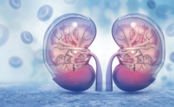 KADA SA BUBREZIMA NEŠTO NIJE U REDU, TELO ŠALJE OVE SIGNALE: 6 simptoma koje ne smete ignorisati! KADA SA BUBREZIMA NEŠTO NIJE U REDU, TELO ŠALJE OVE SIGNALE: 6 simptoma koje ne smete ignorisati!