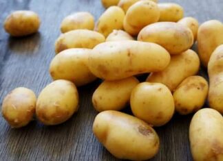 Krompir PUN OTROVA ćete lako prepoznati: Dovoljno je da obratite pažnju na ovaj dio Krompir PUN OTROVA ćete lako prepoznati: Dovoljno je da obratite pažnju na ovaj dio