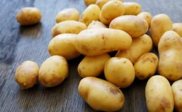 Krompir PUN OTROVA ćete lako prepoznati: Dovoljno je da obratite pažnju na ovaj dio Krompir PUN OTROVA ćete lako prepoznati: Dovoljno je da obratite pažnju na ovaj dio