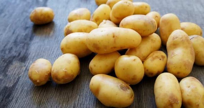 Krompir PUN OTROVA ćete lako prepoznati: Dovoljno je da obratite pažnju na ovaj dio Krompir PUN OTROVA ćete lako prepoznati: Dovoljno je da obratite pažnju na ovaj dio