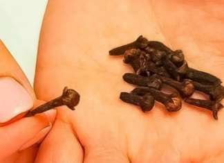 OČISTITE VAŠA PLUĆA: Prestanite kašljati ZA 3 DANA, ovaj čaj jača imunitet, ODLIČAN U LIJEČENJU BRONHITISA OČISTITE VAŠA PLUĆA: Prestanite kašljati ZA 3 DANA, ovaj čaj jača imunitet, ODLIČAN U LIJEČENJU BRONHITISA