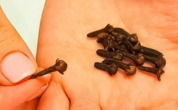 OČISTITE VAŠA PLUĆA: Prestanite kašljati ZA 3 DANA, ovaj čaj jača imunitet, ODLIČAN U LIJEČENJU BRONHITISA OČISTITE VAŠA PLUĆA: Prestanite kašljati ZA 3 DANA, ovaj čaj jača imunitet, ODLIČAN U LIJEČENJU BRONHITISA