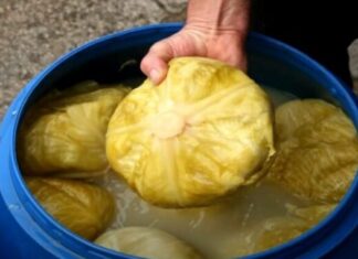 Pijete li rasol? Postoji barem pet razloga zašto biste trebali! Pijete li rasol? Postoji barem pet razloga zašto biste trebali!