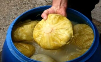 Pijete li rasol? Postoji barem pet razloga zašto biste trebali! Pijete li rasol? Postoji barem pet razloga zašto biste trebali!