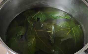 REGULIŠE ŠEĆER I PRITISAK, SNIŽAVA TRIGLICERIDE I ČISTI KRVNE SUDOVE: List ove biljke je dar prirode, a evo kako se koristi REGULIŠE ŠEĆER I PRITISAK, SNIŽAVA TRIGLICERIDE I ČISTI KRVNE SUDOVE: List ove biljke je dar prirode, a evo kako se koristi