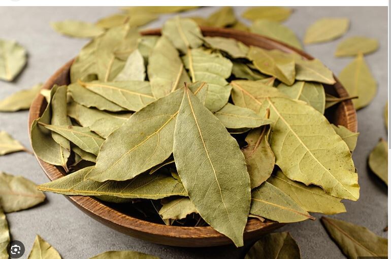 STAVITE OBIČAN LIST LOVORA U RERNU I UKLJUČITE JE NA 20 MINUTA STAVITE OBIČAN LIST LOVORA U RERNU I UKLJUČITE JE NA 20 MINUTA