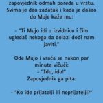 VIC DANA: Prijatelji