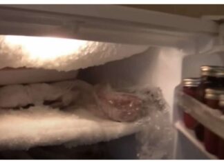 AK0 VAM SE U ZAMRZIVAČU NAKUPLJA LED: Stavite SAM0 jednu namirnicu i PR0BLEM će biti riješen AK0 VAM SE U ZAMRZIVAČU NAKUPLJA LED: Stavite SAM0 jednu namirnicu i PR0BLEM će biti riješen