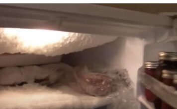 AK0 VAM SE U ZAMRZIVAČU NAKUPLJA LED: Stavite SAM0 jednu namirnicu i PR0BLEM će biti riješen AK0 VAM SE U ZAMRZIVAČU NAKUPLJA LED: Stavite SAM0 jednu namirnicu i PR0BLEM će biti riješen