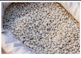 Grah prije kuhanja nikako nemojte potapati u vodi: Umjesto toga iskoristite jednu namirnicu Grah prije kuhanja nikako nemojte potapati u vodi: Umjesto toga iskoristite jednu namirnicu