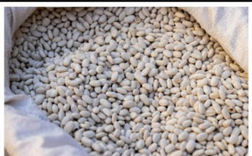 Grah prije kuhanja nikako nemojte potapati u vodi: Umjesto toga iskoristite jednu namirnicu Grah prije kuhanja nikako nemojte potapati u vodi: Umjesto toga iskoristite jednu namirnicu