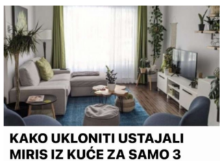 KAKO U TREN OKA UKLONITI USTAJALI MIRIS IZ KUĆE: Za samo 3 minute, vaš dom će zračiti svježinom i čistoćom, baš poput mirisne apoteke! KAKO U TREN OKA UKLONITI USTAJALI MIRIS IZ KUĆE: Za samo 3 minute, vaš dom će zračiti svježinom i čistoćom, baš poput mirisne apoteke!