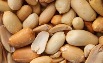 Kikiriki vas može udebljati 2,5 kg za dva dana – ako ga jedete ovako Kikiriki vas može udebljati 2,5 kg za dva dana – ako ga jedete ovako