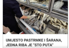 Kilogram može da se nađe do 500 dinara, a melem je za SRCE: UMJESTO PASTRMKE I ŠARANA, JEDNA RIBA JE “STO PUTA” ZDRAVIJA!