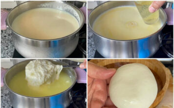 NAPRAVITE MOCARELU U KUĆNIM USLOVIMA: U prodavnici je preskupa, a vama će biti potrebna samo 2 sastojka NAPRAVITE MOCARELU U KUĆNIM USLOVIMA: U prodavnici je preskupa, a vama će biti potrebna samo 2 sastojka