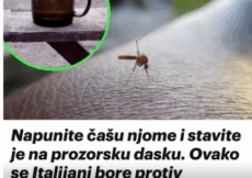 Napunite čašu njome i stavite je na prozorsku dasku: Ovako se Italijani bore protiv komaraca – TO JE DOKAZANO GODINAMA