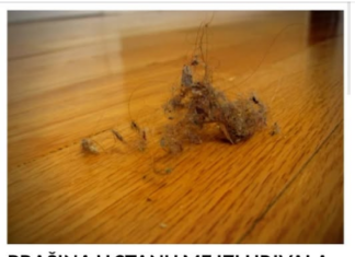 PRAŠINA U STANU ME IZLUĐIVALA, A ONDA MI JE SVEKRVA DALA ODLIČAN RECEPT: Sad čistim kuću trostruko rjeđe A SVE BLISTA PRAŠINA U STANU ME IZLUĐIVALA, A ONDA MI JE SVEKRVA DALA ODLIČAN RECEPT: Sad čistim kuću trostruko rjeđe A SVE BLISTA