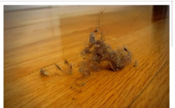 PRAŠINA U STANU ME IZLUĐIVALA, A ONDA MI JE SVEKRVA DALA ODLIČAN RECEPT: Sad čistim kuću trostruko rjeđe A SVE BLISTA PRAŠINA U STANU ME IZLUĐIVALA, A ONDA MI JE SVEKRVA DALA ODLIČAN RECEPT: Sad čistim kuću trostruko rjeđe A SVE BLISTA