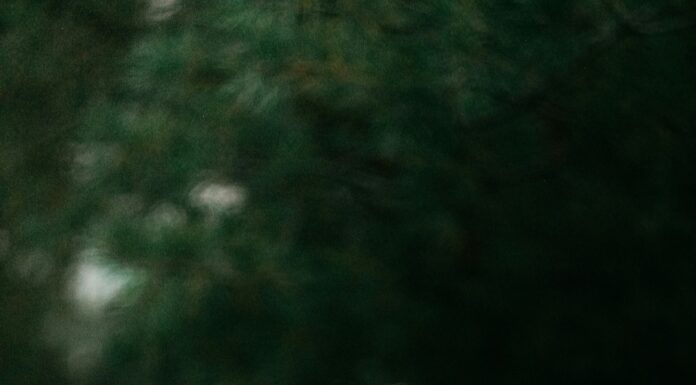 Smijeh sagorijeva 40 kalorija za 10 minuta: Aktivira 80 mišića! Smijeh sagorijeva 40 kalorija za 10 minuta: Aktivira 80 mišića!