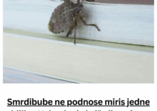 Smrdibube ne podnose miris jedne biljke: Nabavite je i više ih nećete vidjeti, BJEŽAĆE KA0 LUDE