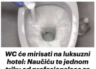WC će mirisati na luksuzni hotel: Naučiću te jednom triku od profesionalaca za par eura! WC će mirisati na luksuzni hotel: Naučiću te jednom triku od profesionalaca za par eura!