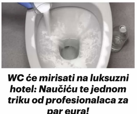 WC će mirisati na luksuzni hotel: Naučiću te jednom triku od profesionalaca za par eura! WC će mirisati na luksuzni hotel: Naučiću te jednom triku od profesionalaca za par eura!