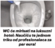 WC će mirisati na luksuzni hotel: Naučiću te jednom triku od profesionalaca za par eura!