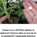Znate li ovu JEFTINU tabletu iz ljekarne? Gotovo niko ne zna da će to zamijeniti i najskuplje đubrivo: Sadnice su jače nego ikad!