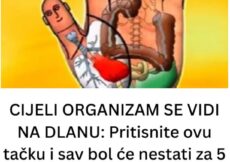 CIJELI ORGANIZAM SE VIDI NA DLANU: Pritisnite ovu tačku i sav bol će nestati za 5 minuta (VIDEO)