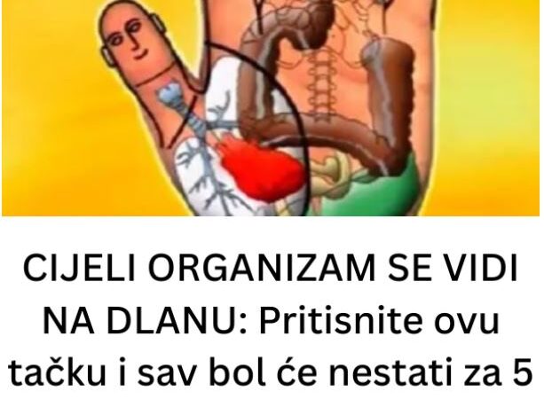 CIJELI ORGANIZAM SE VIDI NA DLANU: Pritisnite ovu tačku i sav bol će nestati za 5 minuta (VIDEO)